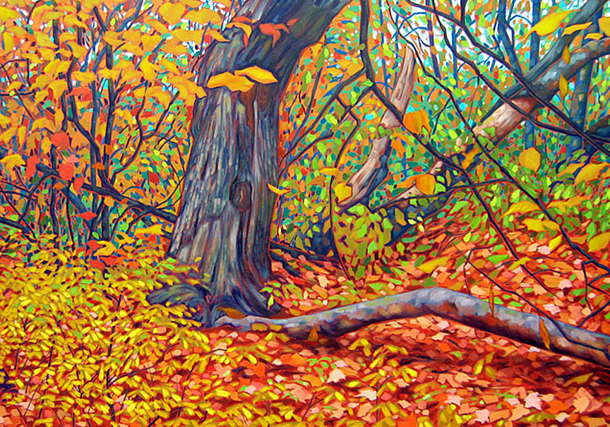 forest-fall